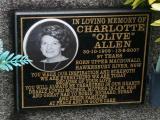 image of grave number 920698